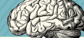The Incredible Way Your Brain ‘Sees’ a Logo (Infographic)